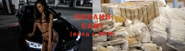 дурь Гатчина