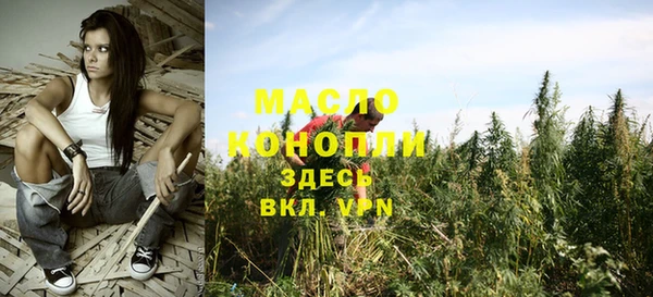 дурь Гатчина