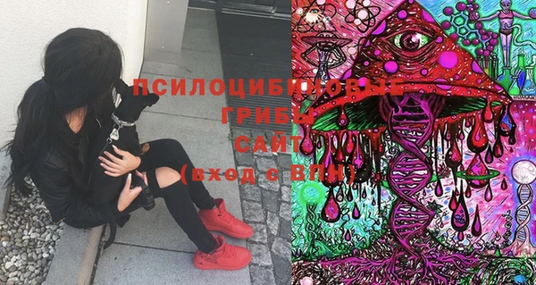 эйфоретик Заволжск