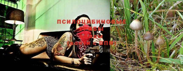 мескалин Заволжье
