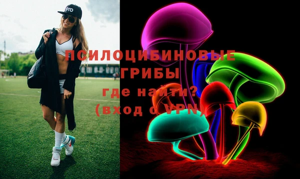 дурь Гатчина