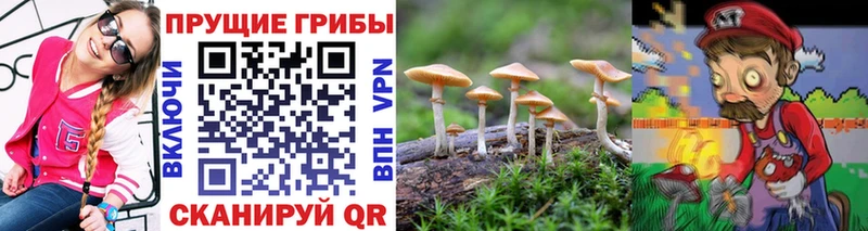 купить  цена  Касимов  Псилоцибиновые грибы Magic Shrooms 