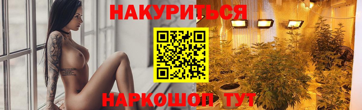 Бошки марихуана марихуана  Бошки марихуана тримм  Вход с VPN  Касимов 
