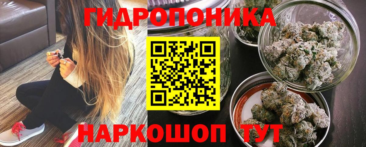 Конопля сатива Касимов